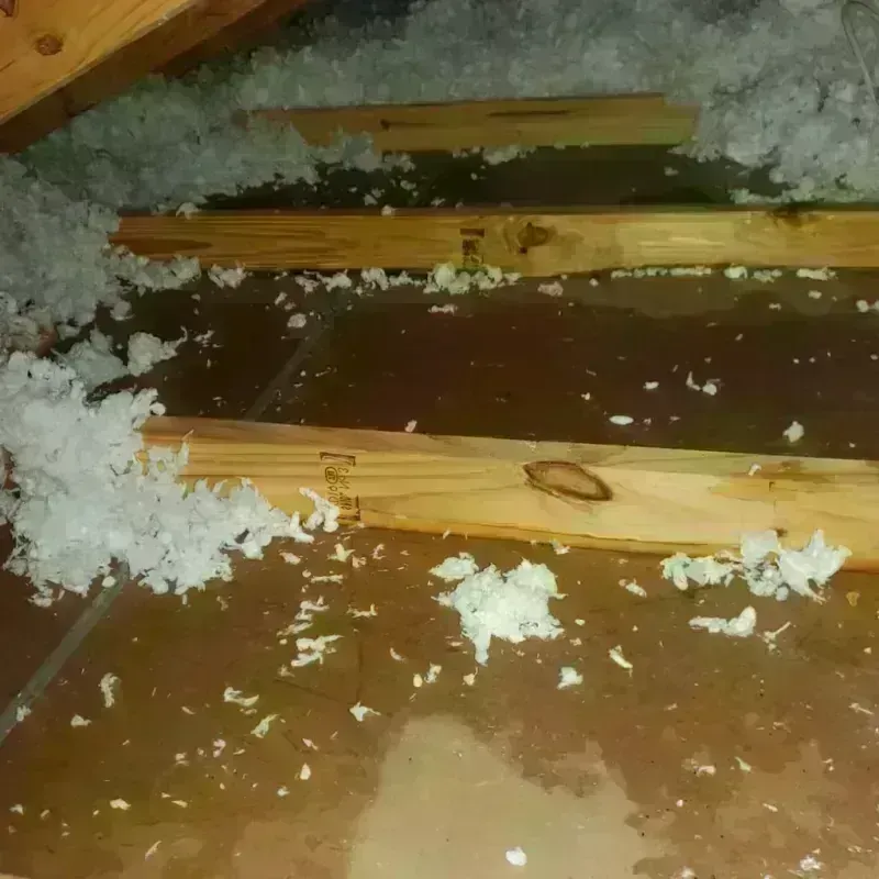 Attic Water Damage in Red Oak, TX